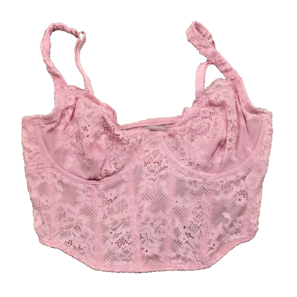 Hollister Gilly Hicks Pink Lace Corset Bustier Bra Top Coquette Y2K M Festival